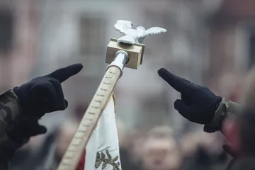 Następne zdjęcie