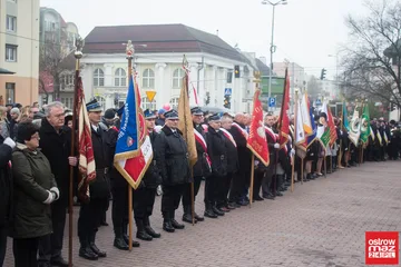 Następne zdjęcie