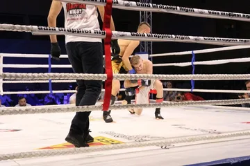 Następne zdjęcie