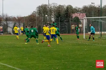 Następne zdjęcie