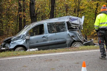 Poprzednie zdjęcie