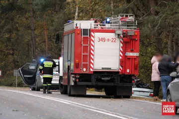 Śmiertelny wypadek w pobliżu Czerwina (zdjęcia)
