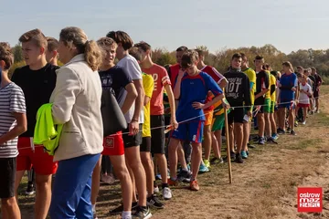 Następne zdjęcie