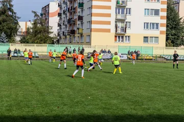 Poprzednie zdjęcie