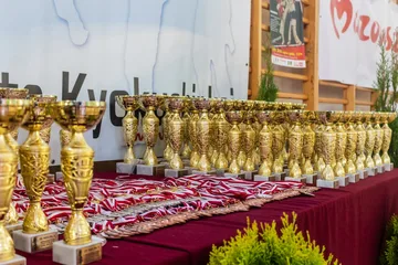Następne zdjęcie
