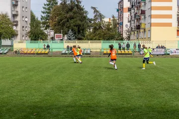 Poprzednie zdjęcie