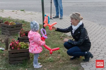 Poprzednie zdjęcie