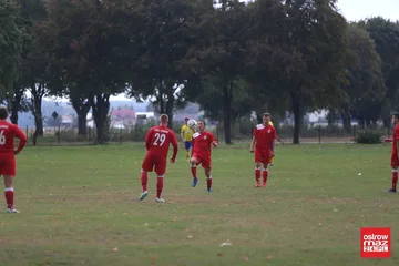 Następne zdjęcie