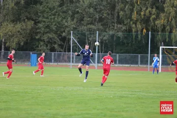 Następne zdjęcie