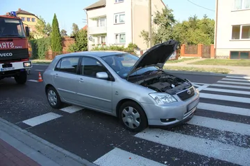 Następne zdjęcie