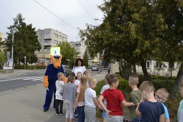Poprzednie zdjęcie