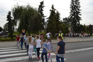 Następne zdjęcie