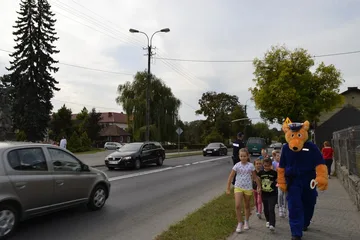 Następne zdjęcie
