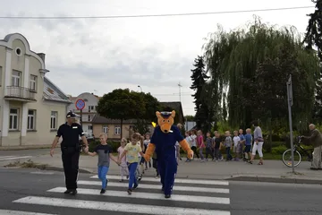 Następne zdjęcie