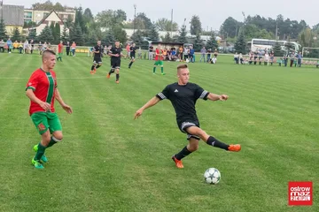 Poprzednie zdjęcie