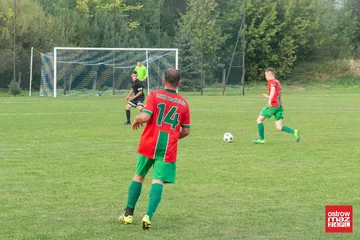 Następne zdjęcie