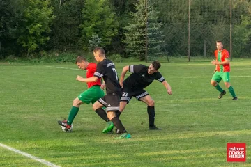 Poprzednie zdjęcie