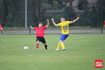 Następne zdjęcie