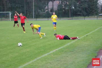 Następne zdjęcie