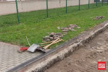 Następne zdjęcie