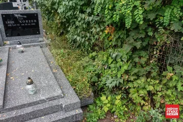 Skrzynka skarg: zaniedbany cmentarz parafialny (zdjęcia)
