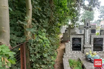 Skrzynka skarg: zaniedbany cmentarz parafialny (zdjęcia)