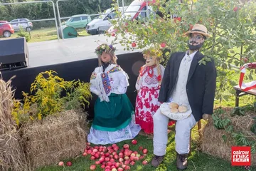 Dożynki gminne w Małkini Górnej (zdjęcia, wideo)