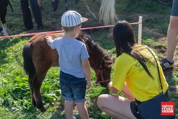 Następne zdjęcie