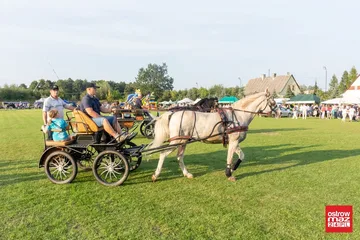 Poprzednie zdjęcie