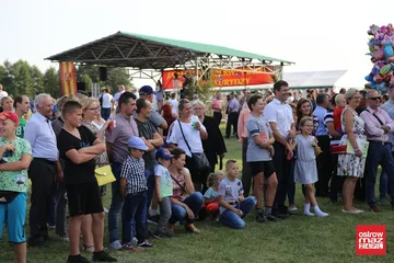 Następne zdjęcie