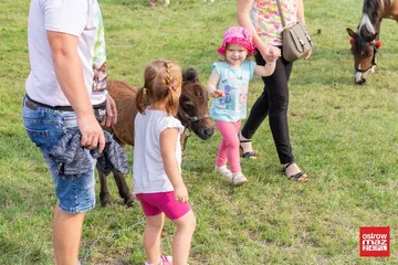 Poprzednie zdjęcie