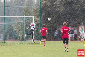 Poprzednie zdjęcie