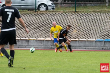 Następne zdjęcie