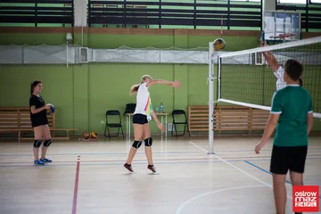Następne zdjęcie