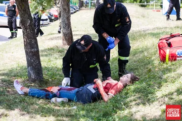 Następne zdjęcie