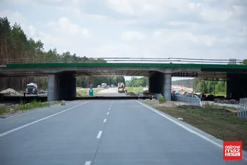 Poprzednie zdjęcie
