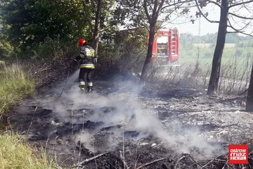 Pożar przy ul. Lipowej. Strażacy interweniowali dwukrotnie (zdjęcia)