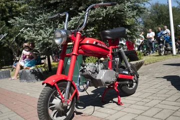 Poprzednie zdjęcie