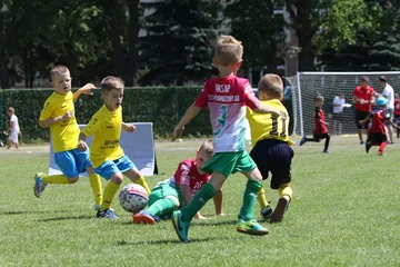 Poprzednie zdjęcie