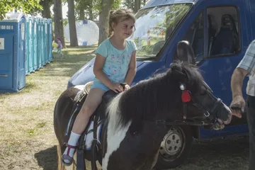 Poprzednie zdjęcie