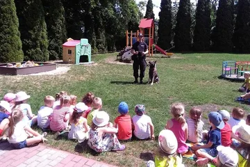 Następne zdjęcie