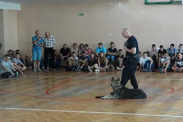 Następne zdjęcie