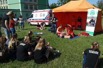 Poprzednie zdjęcie