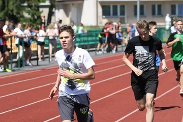 Następne zdjęcie