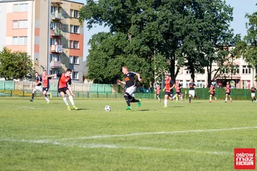 Następne zdjęcie