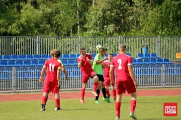 Następne zdjęcie