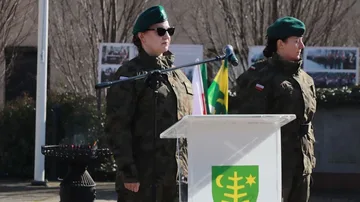 Następne zdjęcie