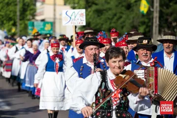 Następne zdjęcie