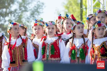 Następne zdjęcie
