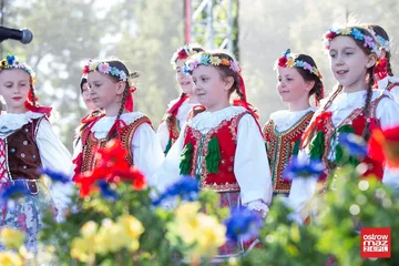 Następne zdjęcie